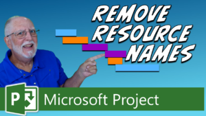 How to Hide Resource Names in Microsoft Project Gantt Chart (2 Methods)