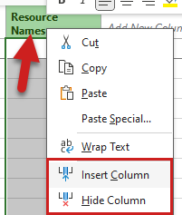 how to add or delete columns ms project
